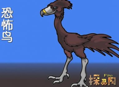 盤點十大最恐怖的鳥，泰坦鳥體高2.5米體重800斤(獵殺之王)