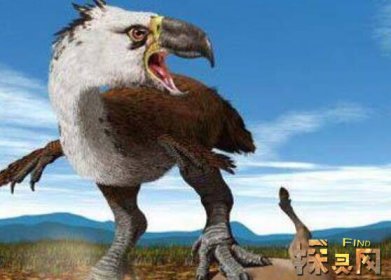 盤點十大最恐怖的鳥，泰坦鳥體高2.5米體重800斤(獵殺之王)