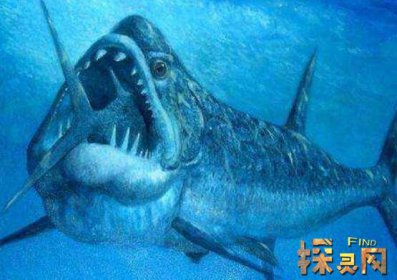 已滅絕的十大鯊魚有哪些，巨齒鯊是頂級掠食者(1500-260萬年前)