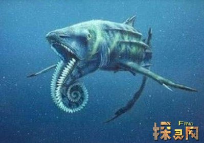 已滅絕的十大鯊魚有哪些，巨齒鯊是頂級掠食者(1500-260萬年前)