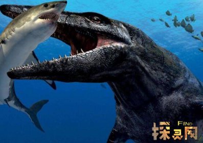 幸好這些動物滅絕了，滄龍在海洋中沒有對手(頂級兇猛)
