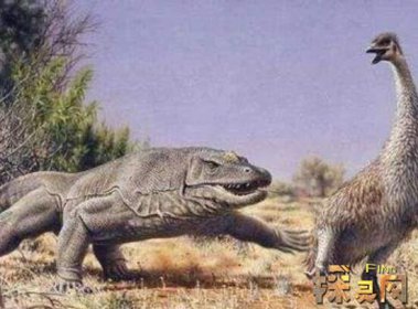 幸好這些動物滅絕了，滄龍在海洋中沒有對手(頂級兇猛)