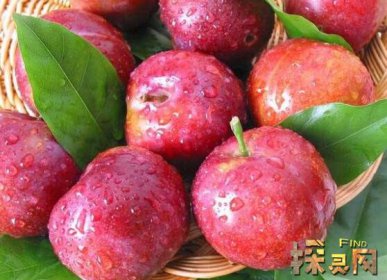 十大低糖水果排行榜，檸檬是低糖水果之王（糖分最低）