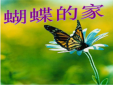蝴蝶的家到底在哪里，沒有固定的地方.會不停尋找棲息點